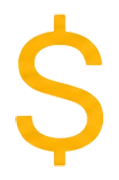 Save Money Icon